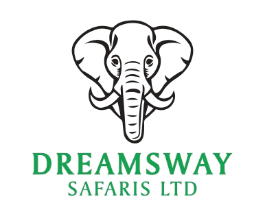 Dreamway Safaris Logo